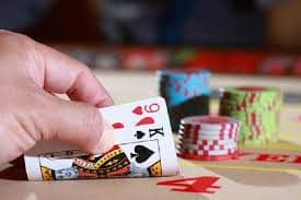 8800 bet login